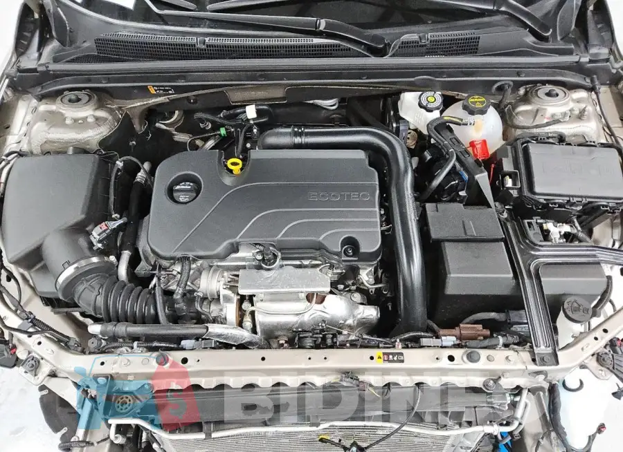 1G1ZD5ST3RF235379 Photo# 11