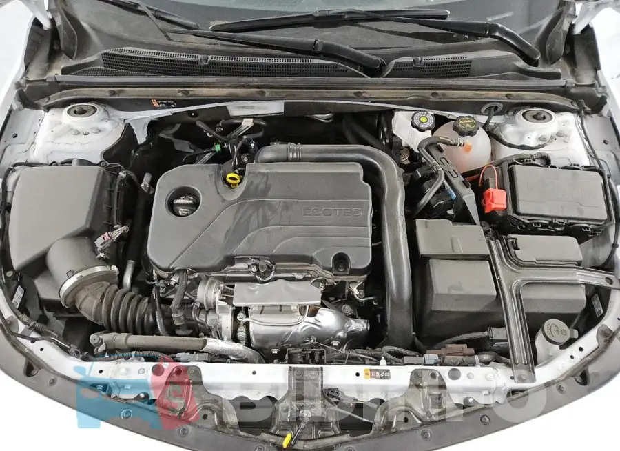 1G1ZD5ST9RF236746 Photo# 11