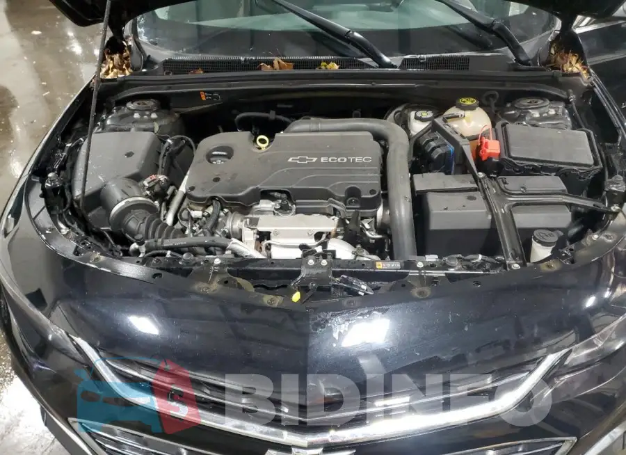 1G1ZB5ST8GF290607 Photo# 11