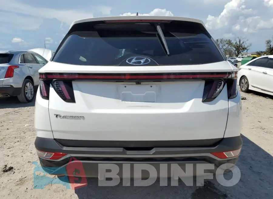 5NMJB3AEXPH243688 Photo# 6