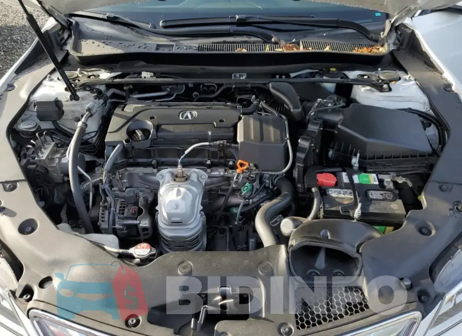 19UUB1F51GA007582 Photo# 11