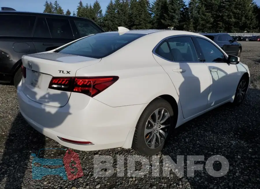 19UUB1F51GA007582 Photo# 3