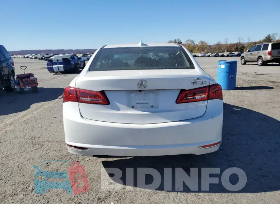 19UUB1F56JA002613 Photo# 6