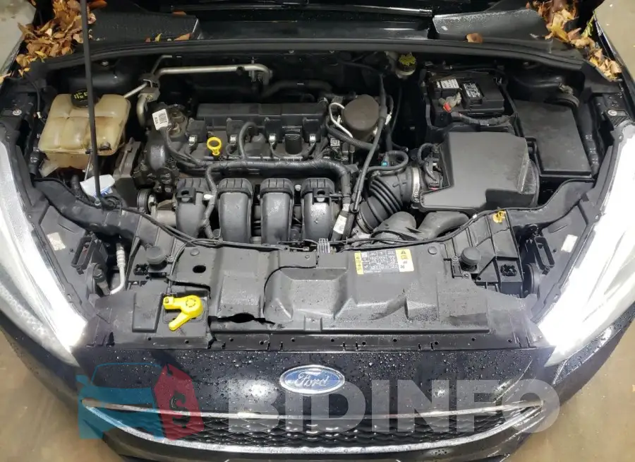 1FADP3F22GL256159 Photo# 11
