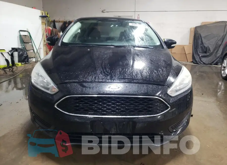 1FADP3F22GL256159 Photo# 5