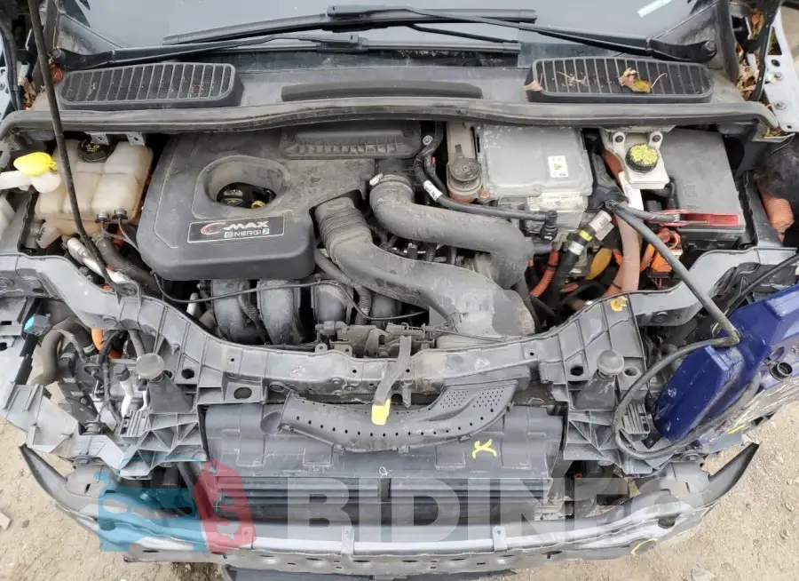 1FADP5CU2GL118977 Photo# 12