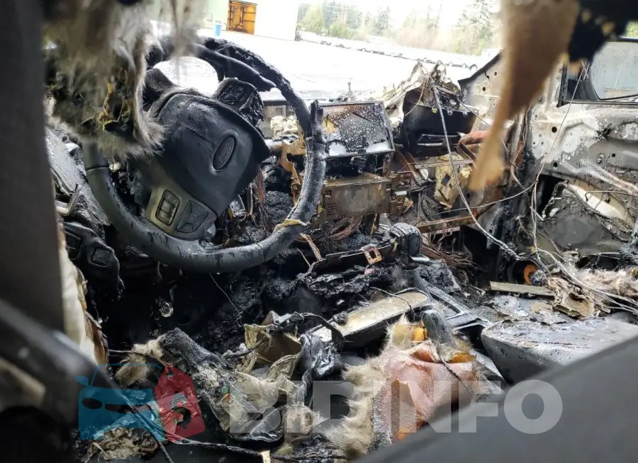 1FTER4FH4MLD82845 Photo# 8