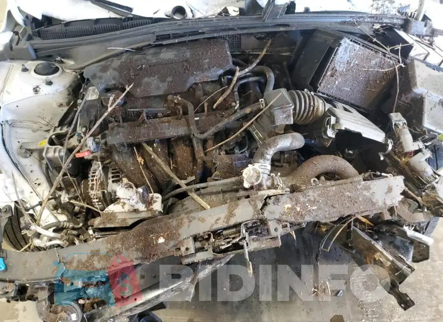 KMHLM4DG6RU715818 Photo# 11