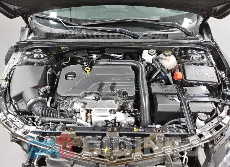 1G1ZD5ST2RF230271 Photo# 11