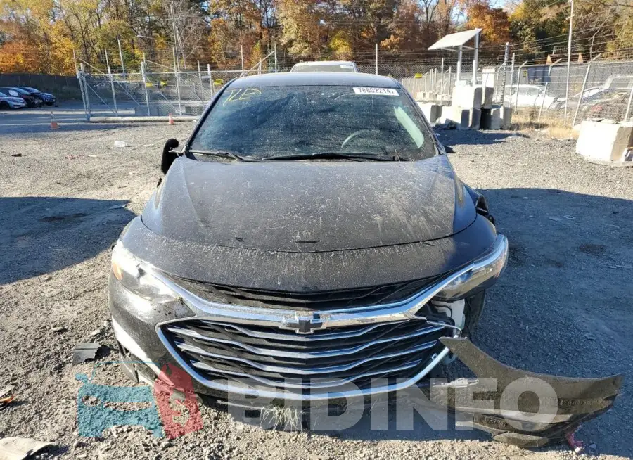 1G1ZD5ST5LF054517 Photo# 5