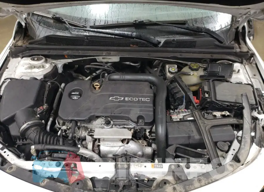 1G1ZE5ST4HF124030 Photo# 11