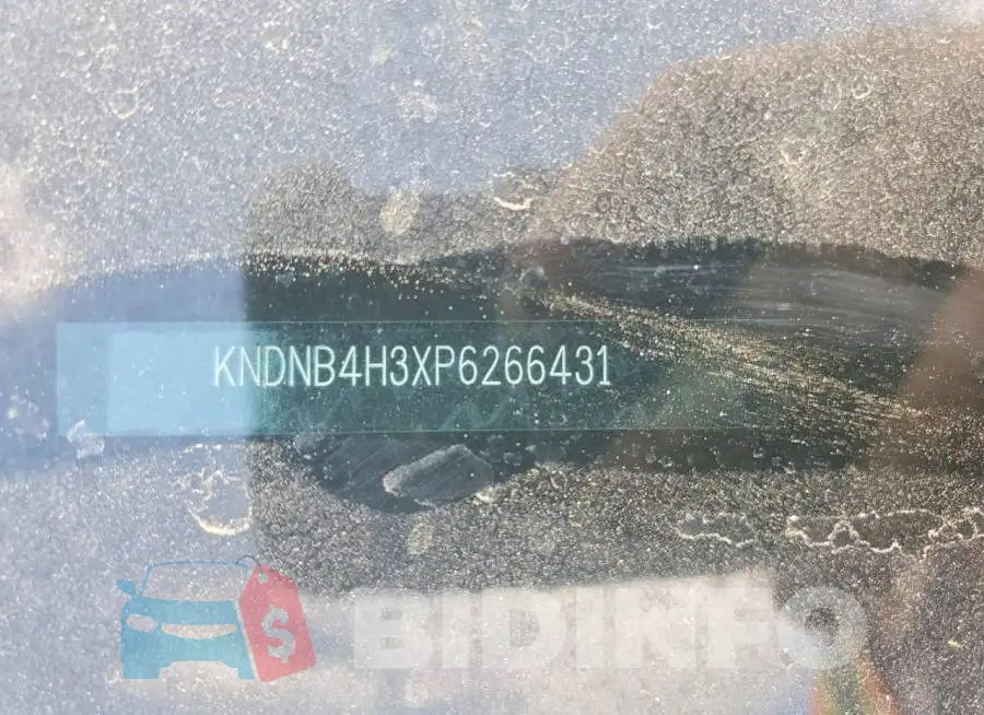 KNDNB4H3XP6266431 Photo# 13