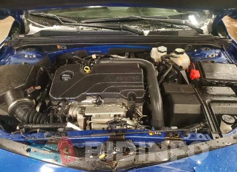1G1ZD5ST1PF245955 Photo# 11