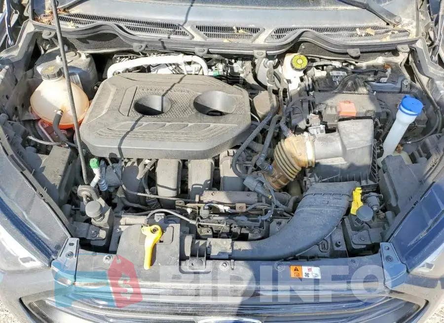 MAJ6S3FL6KC286256 Photo# 11