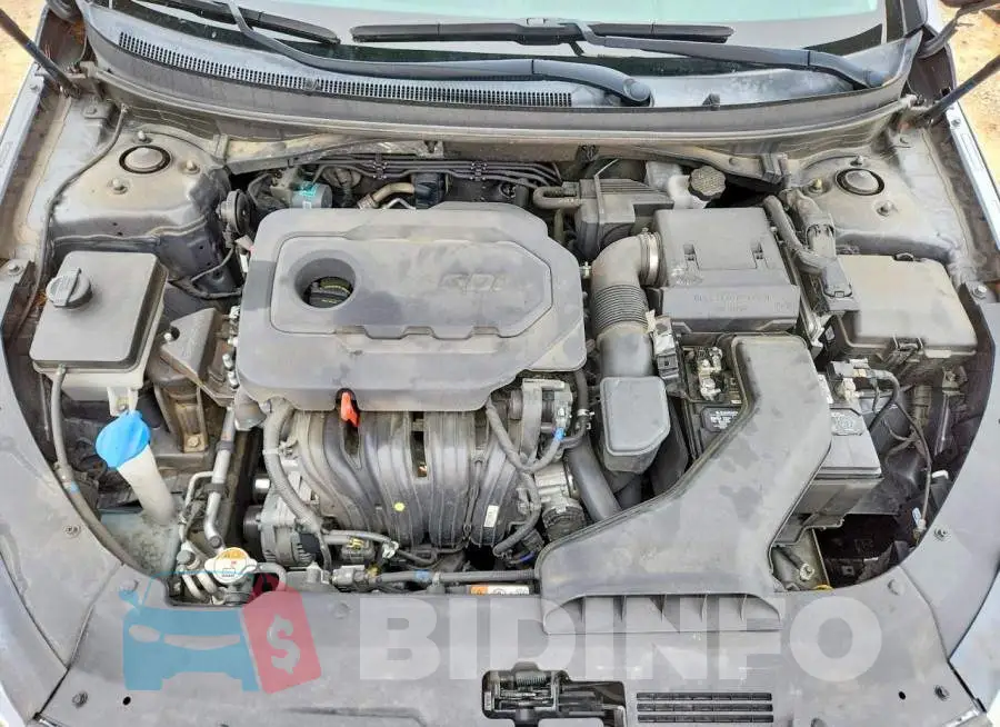 5NPE24AF3KH769575 Photo# 11