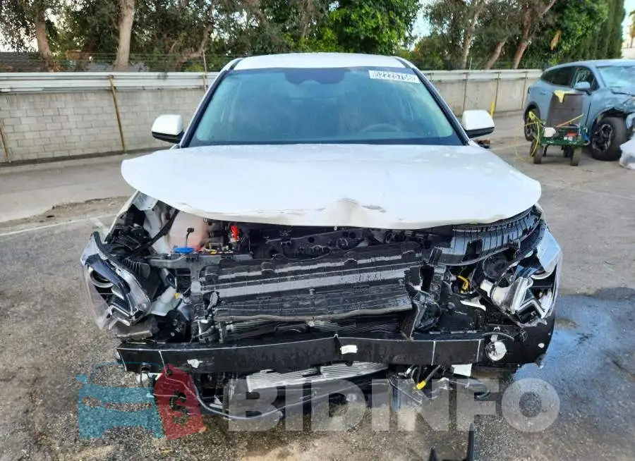 KNDCP3LE3T5330952 Photo# 5