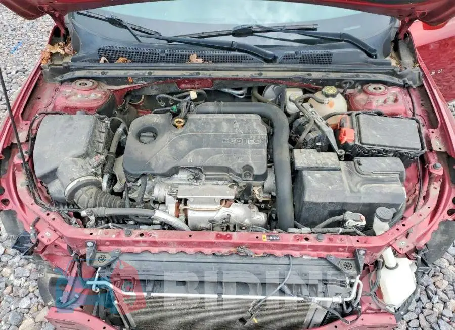 1G1ZD5ST5KF192671 Photo# 11