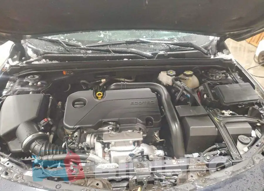 1G1ZD5ST7PF206335 Photo# 11
