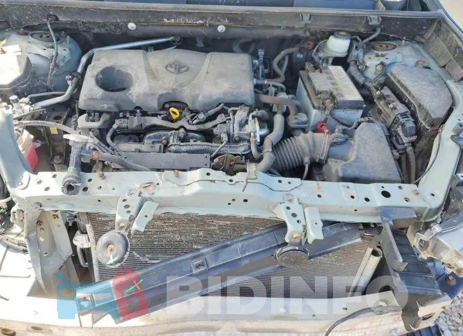 JTMP1RFV6KD008831 Photo# 12