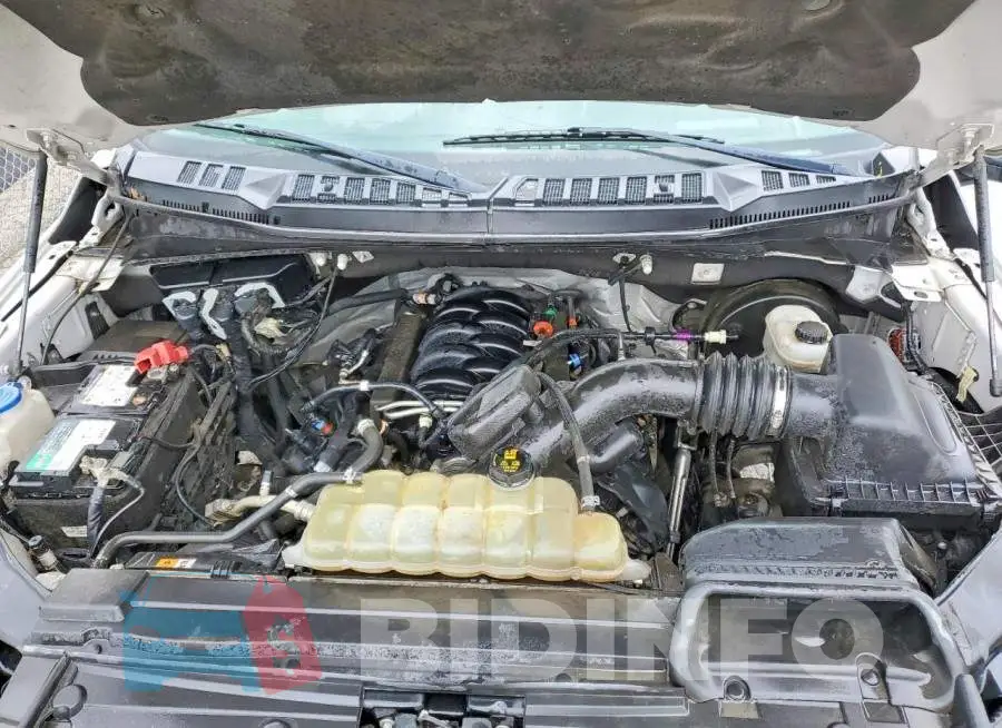 1FTEW1C55LFA96629 Photo# 11