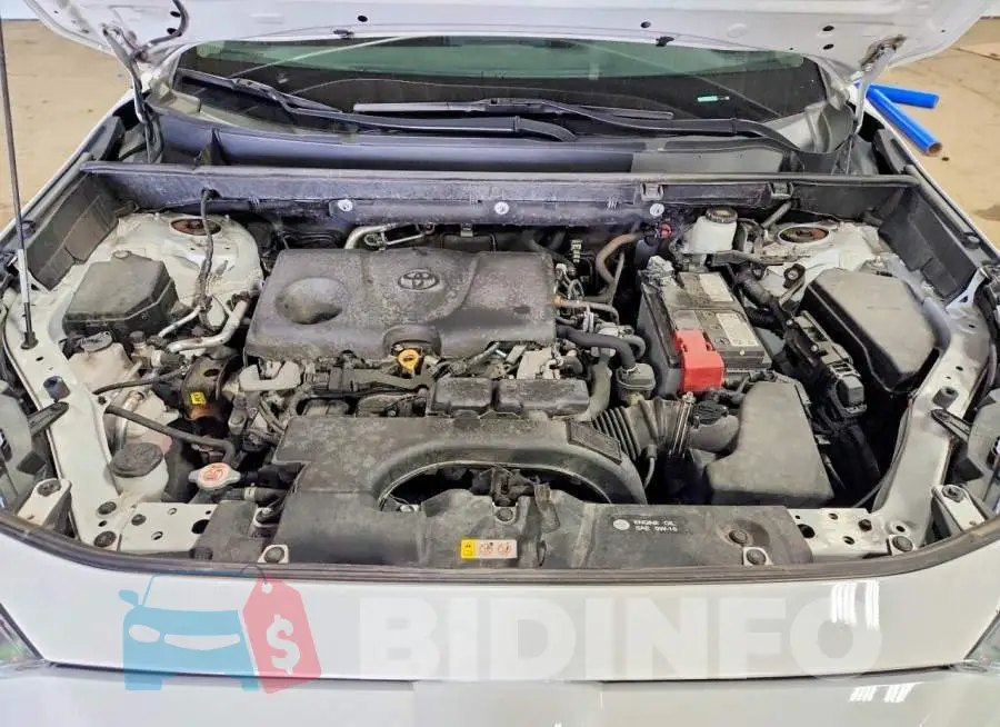 2T3P1RFV3MW201928 Photo# 12