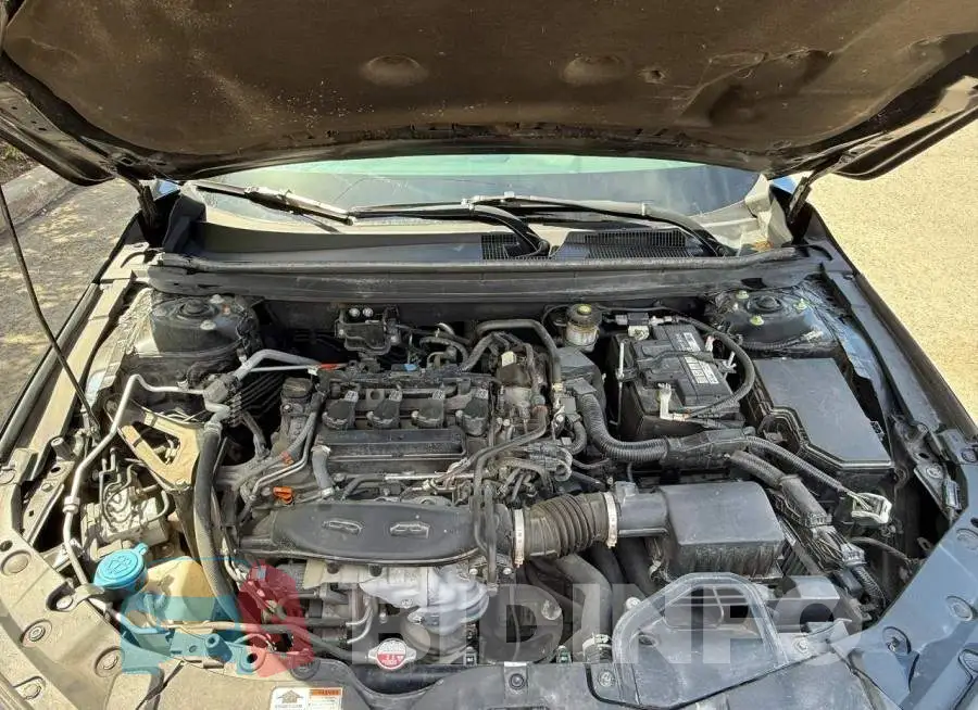 1HGCY1F35PA800683 Photo# 7