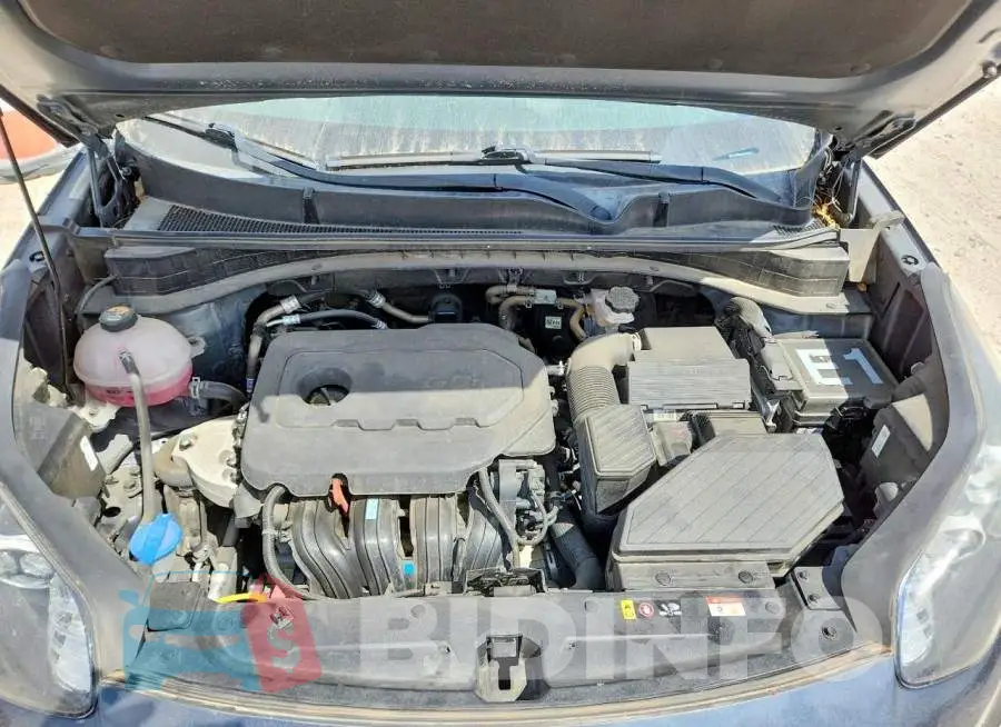 KNDPM3AC6M7893754 Photo# 11