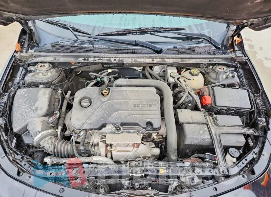 1G1ZD5ST9KF121747 Photo# 11