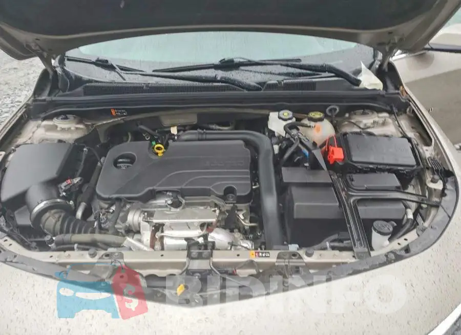 1G1ZD5ST3PF242619 Photo# 11