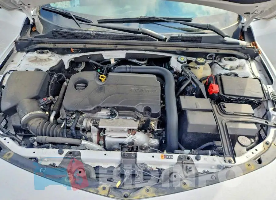1G1ZD5ST8PF227226 Photo# 11