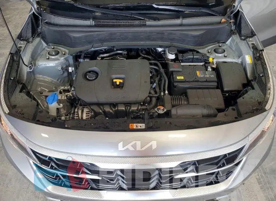 KNDEP2AA4T7876442 Photo# 12