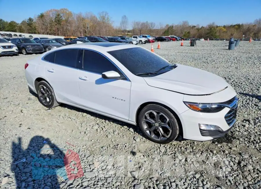1G1ZD5ST5RF172298 Photo# 4