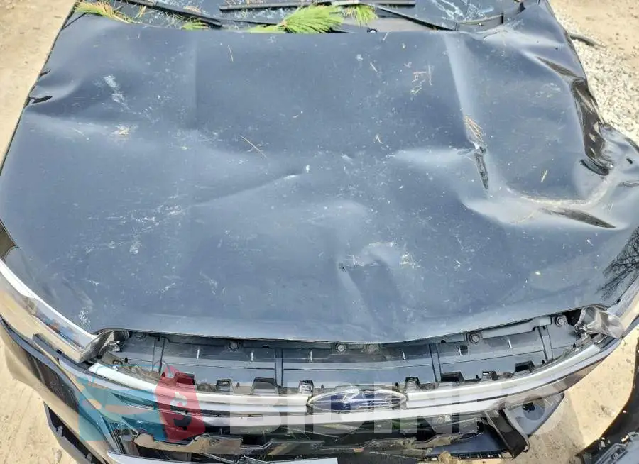 JF2SLDDC0SH461295 Photo# 12