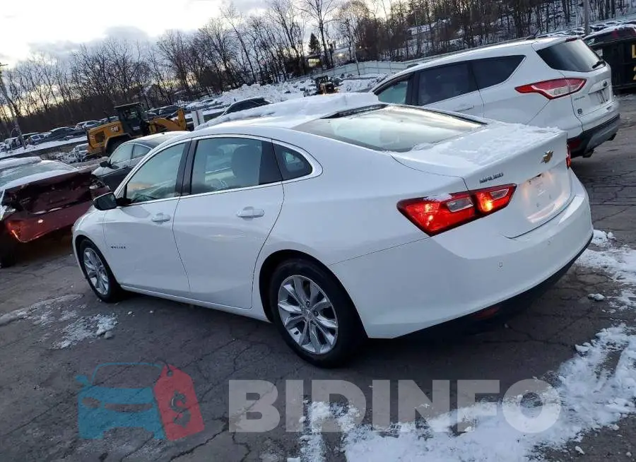 1G1ZD5ST1RF173951 Photo# 2