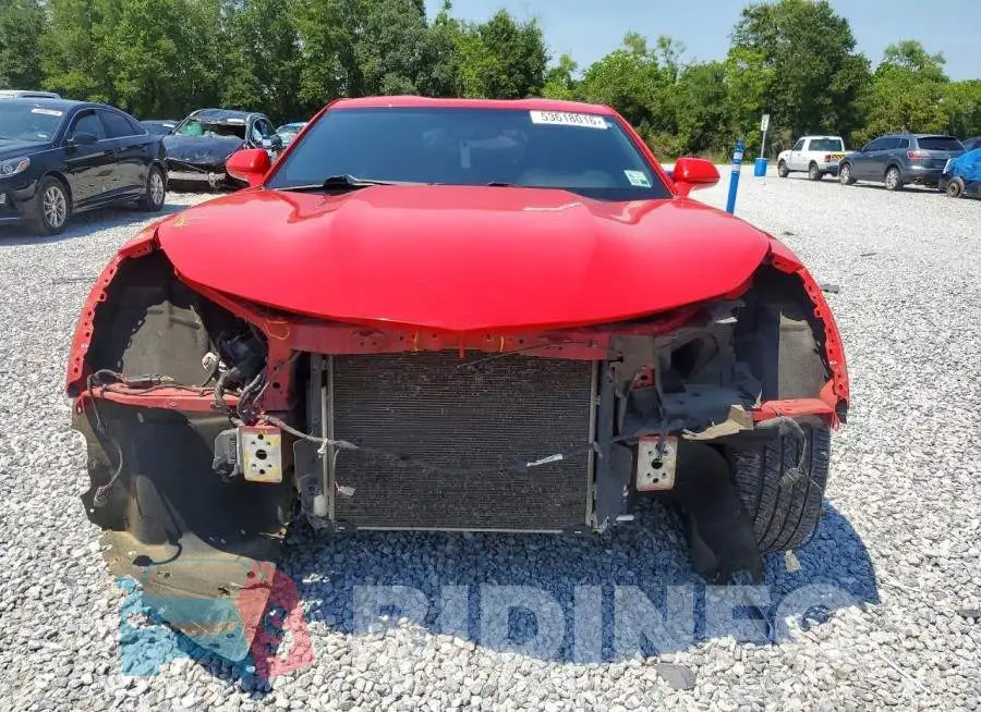 1G1FB1RS2K0107237 Photo# 5