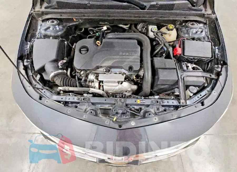 1G1ZD5ST8LF091786 Photo# 11