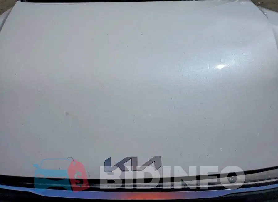 3KPFT4DEXSE138699 Photo# 11