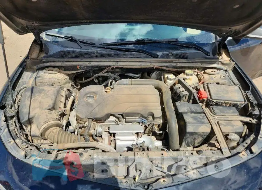 1G1ZB5ST1HF253061 Photo# 11