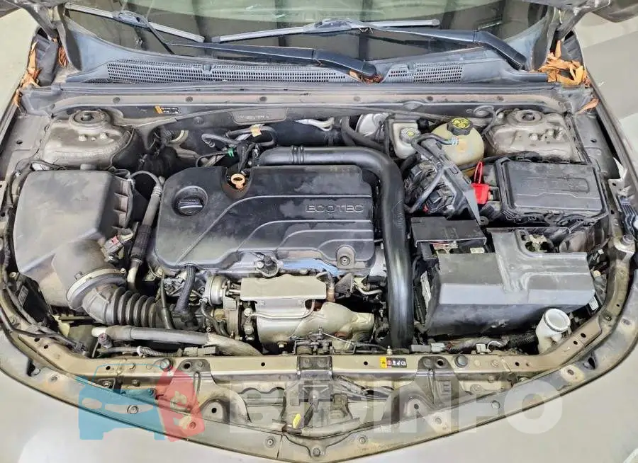 1G1ZD5ST5LF009917 Photo# 11