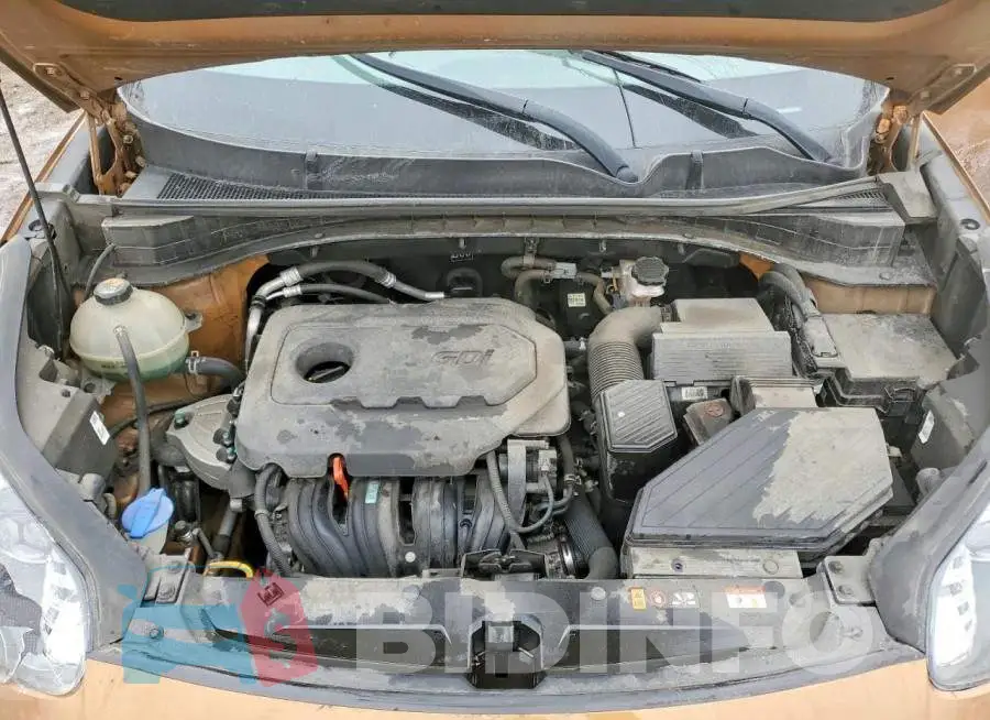 KNDPM3AC9L7755849 Photo# 11