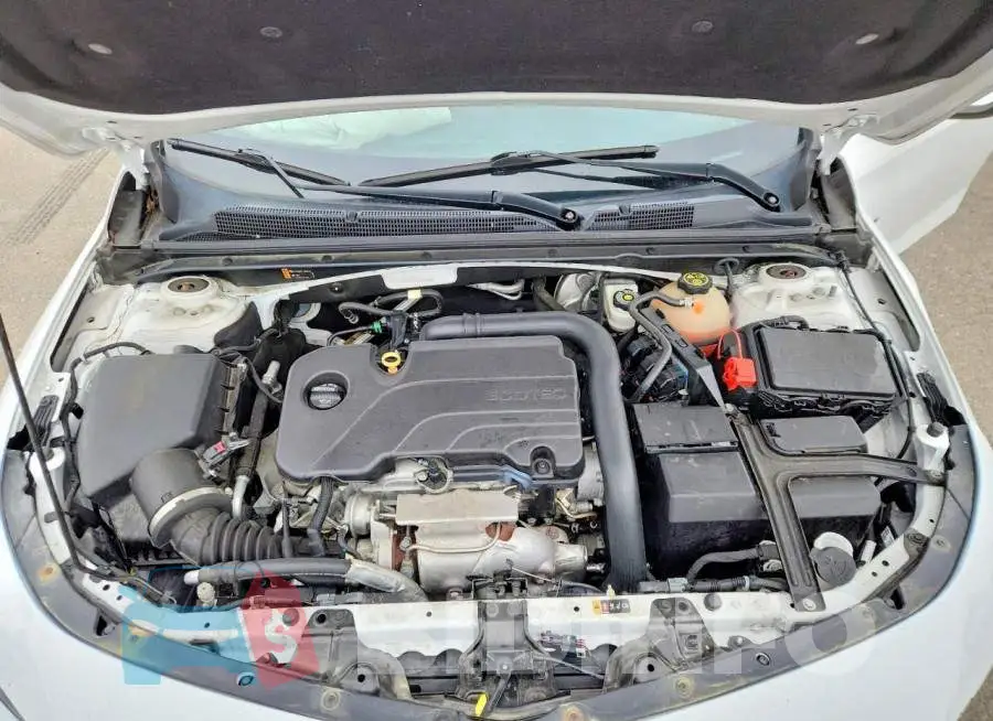 1G1ZD5ST9JF211303 Photo# 11