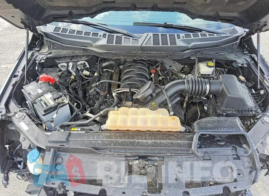 1FTEW1C56MFC40030 Photo# 11