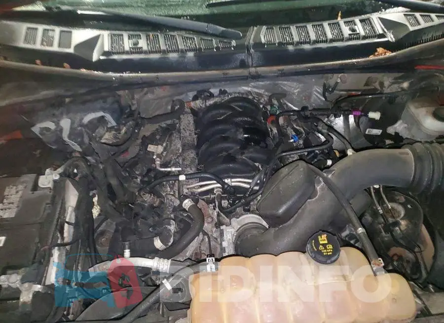 1FTEW1E50JFC04844 Photo# 11