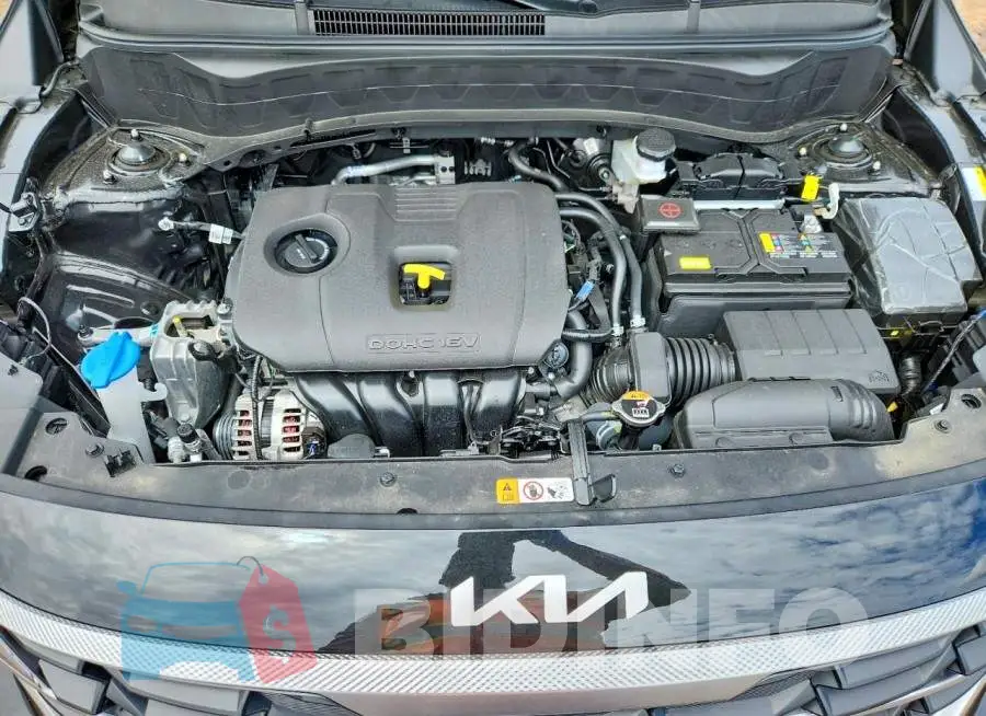 KNDEP2AA1T7946432 Photo# 12