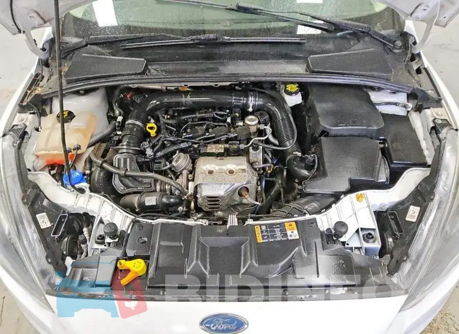 1FADP3FE7JL209372 Photo# 11