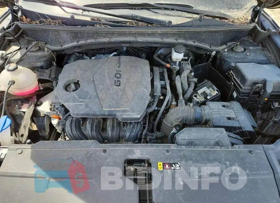 5NMJBCDE2RH340298 Photo# 12