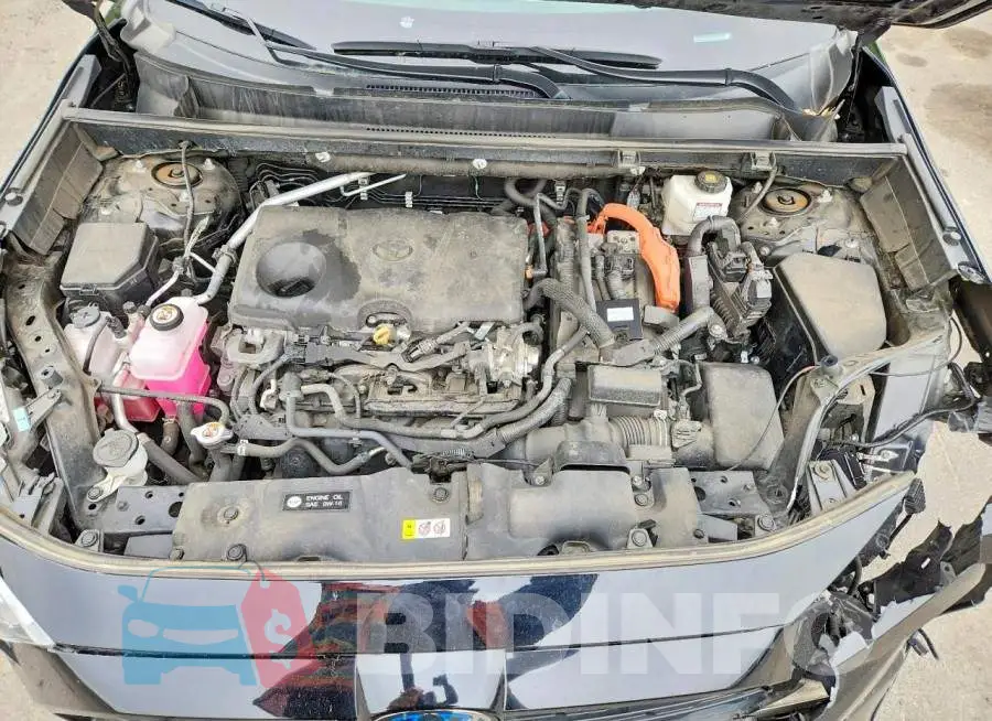 4T3B6RFVXPU135751 Photo# 12