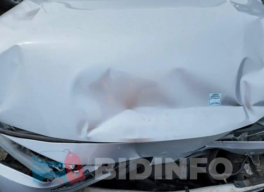 5YFBPRBE0LP039148 Photo# 11