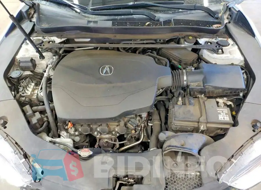 19UUB2F62KA005427 Photo# 11