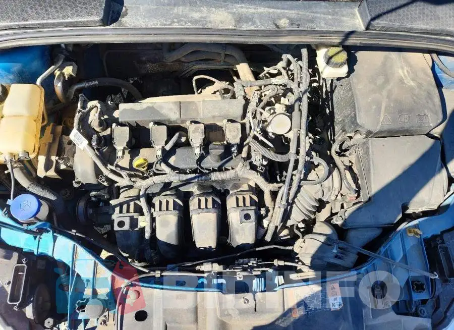 1FADP3K2XHL220467 Photo# 11
